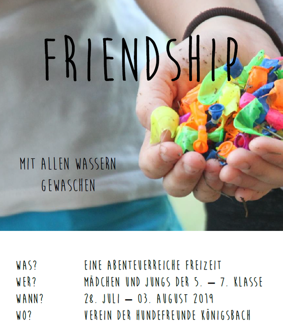 Friendship Flyer 2019